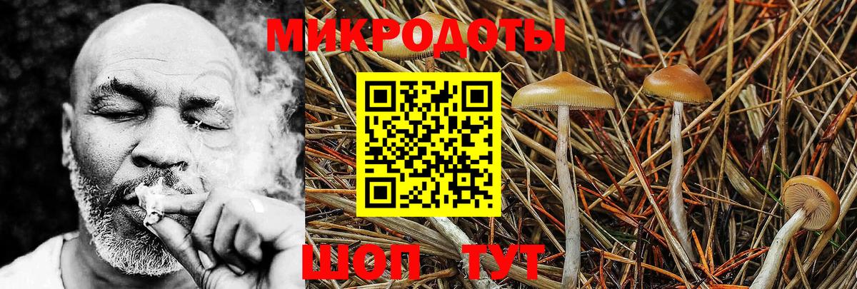 Псилоцибиновые грибы Magic Shrooms Петрозаводск