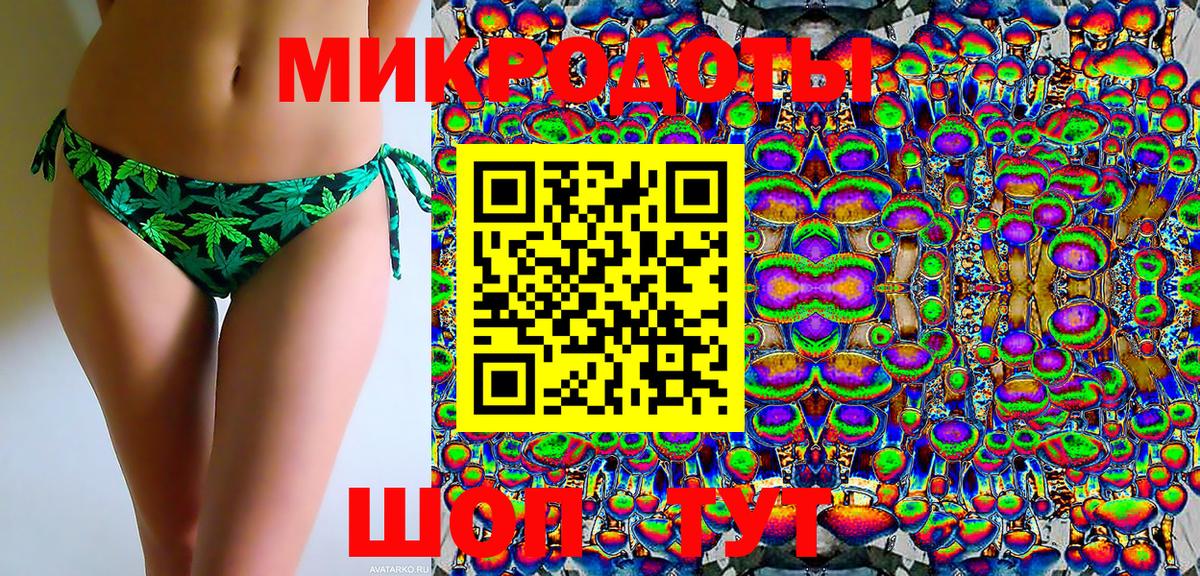 МЕФ Петрозаводск
