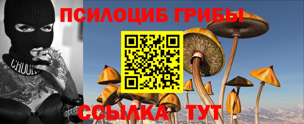 Петрозаводск  Галлюциногенные грибы мухоморы  Вход с VPN 